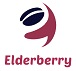 www.elderberrytech.com